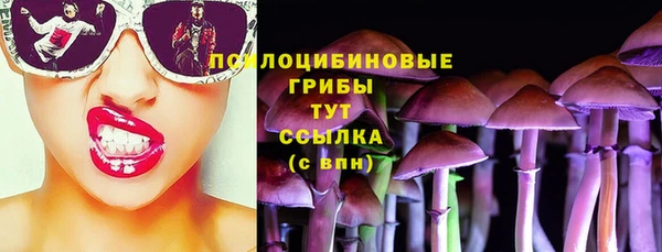 мдпв Майский