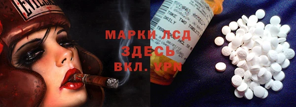 стаф Магадан