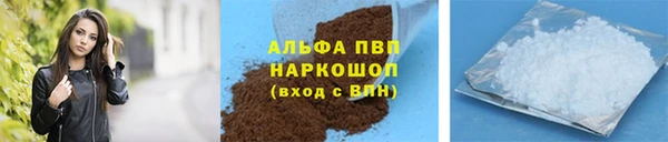 эйфоретик Магас
