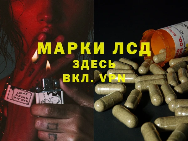 эйфоретик Магас