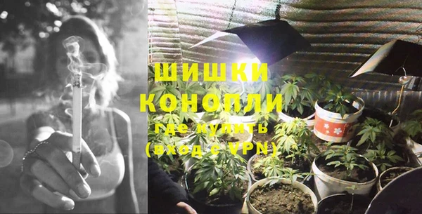 мдпв Майский