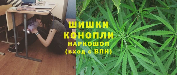 стаф Магадан