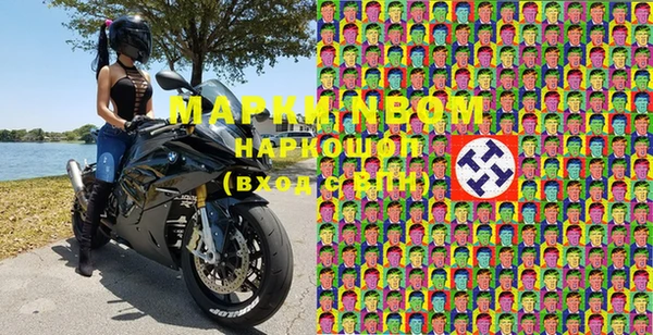 стаф Магадан